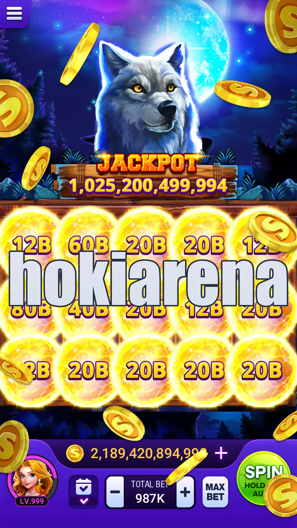 hokiarena APK